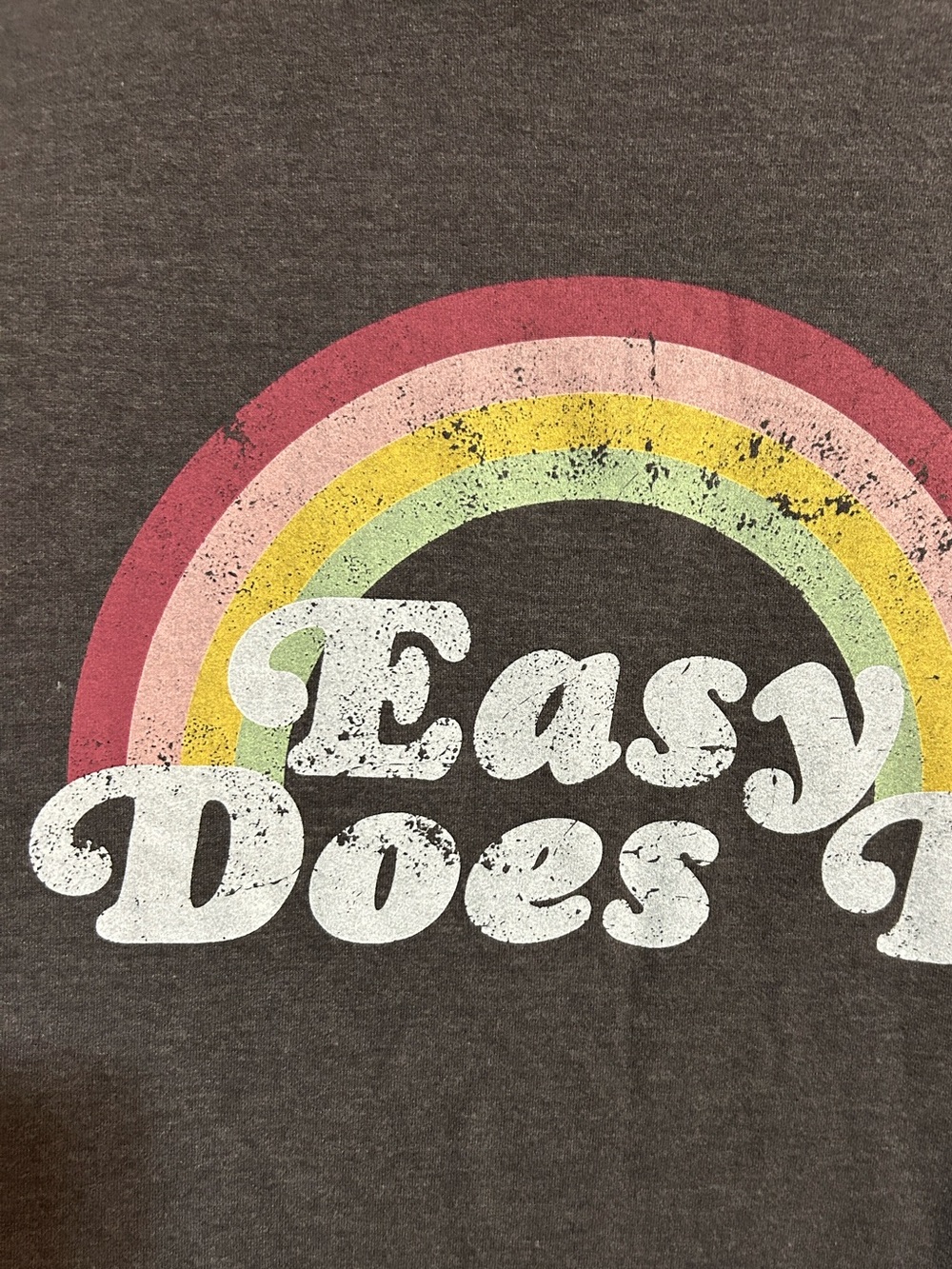 WILDFOX • “Easy Does It” Charcoal Graphic Sweatshirt - 'Easy Does It' - Picture 2 of 10